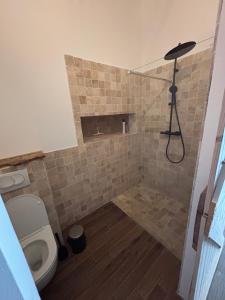a bathroom with a shower with a toilet in it at Studio proche de Jonzac in La Celle-sous-Gouzon
