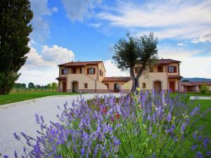 a house with purple flowers in front of a driveway at Villa in Cannara with Pool near Assisi in Tordandrea +32 photos