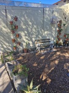 En have udenfor Casa Pueblo Esther