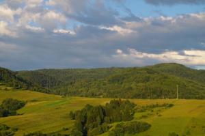Príroda v okolí apartmánu