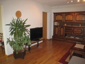 a living room with a tv and a potted plant at Ferienwohnung Dent Blanche in Savièse +9 photos