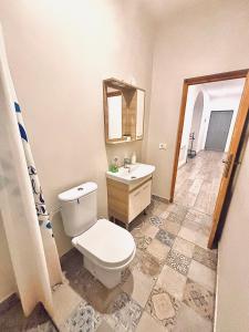 a bathroom with a toilet and a sink at Stay Inn Central Cluj in Cluj-Napoca