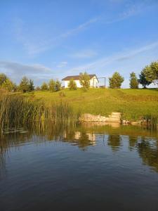 a house on a hill with a pond in front at Marių Kalvos in Palėvenėlė