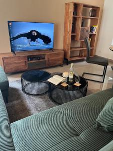 TV a/nebo společenská místnost v ubytování Alte Töpferei