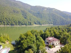 马拉亚Casa Lacului的湖边房屋的鸟瞰图