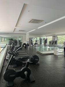 Centrul de fitness și/sau facilități de fitness de la Home Sweet Home Embassy Gardens