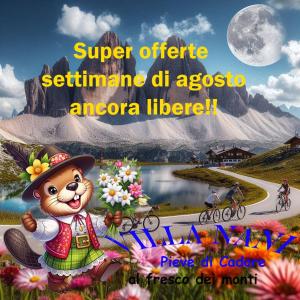 a greetings card with a teddy bear wearing a hat at Apartm Villa Nani west Dolomiti incantate near Cortina Winter Olympics 26 in Pieve di Cadore