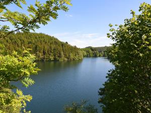 a view of a lake in the middle of a forest at Cozy Family Stay in Durbuy in Durbuy