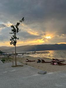a beach with a tree in the sand and a pier at 4 Stinët in Pogradec +12 photos