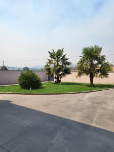 a driveway with palm trees in front of a building at Villa Machado Chaves in Vila Nova da Veiga +17 photos