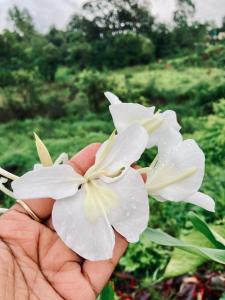 Gallery image of Dream House in Satara +28 photos