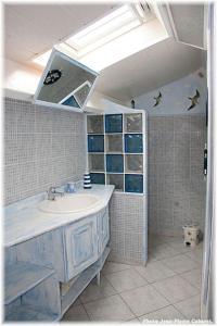 a bathroom with a sink and a shower with birds on the ceiling at Chambre d'hote Jasse Perdrix in Thairé