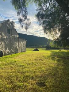 a building in a field of grass with a tree at The Wild Olive Sanctuary Accommodation in Paterson
