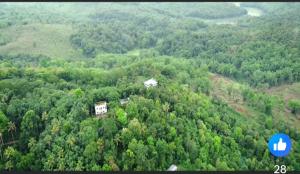 Gallery image of Spice routes in Vagamon