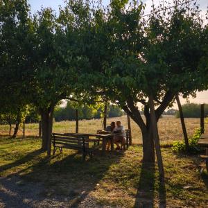 Photo de la galerie de l'établissement Agriturismo Cascina degli Ulivi, à Novi Ligure 62 autres photos
