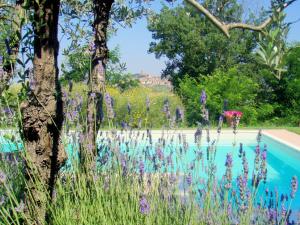 a garden with purple flowers next to a swimming pool at Cottage in Val di Chiana in Castiglion Fiorentino +32 photos