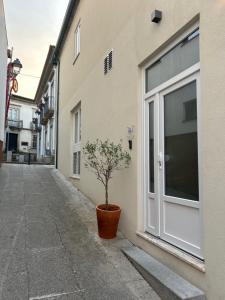 a plant in a pot sitting next to a building at Apartamento do Ferreiro in Ponte da Barca