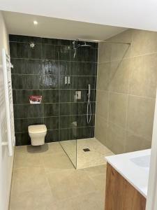 un bagno con doccia, wc e lavandino di Suite jacuzzi ad Aix en Provence Altre 15 foto