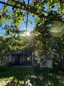 a view of the sun shining through the trees at Svaneti Heaven in Lentekhi