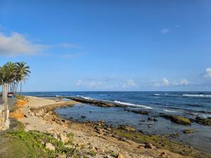 a beach with palm trees and the ocean at Atlantic View Apartments in Hatillo