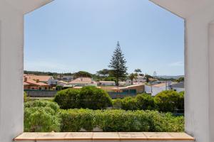 Příroda nedaleko prázdninového domu + 60 fotografií