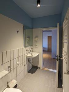 ein Badezimmer mit Waschbecken und Toilette in der Unterkunft High Gudauri - Ski in ski out - loft with terrace in Gudauri