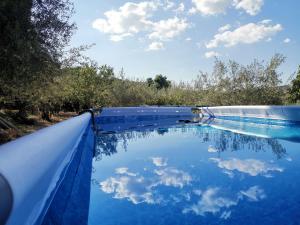 a pool with a reflection of the sky in the water at Villa dei Mandorli in Naro