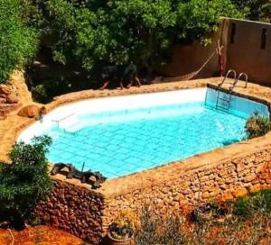 a swimming pool with a dog laying in it at le petit yucca - chambre groovy in Tiznit