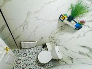ブライトン＆ホーブにあるSachi Hotelの大理石の壁のバスルーム(トイレ付) +4枚の写真