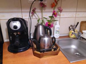 eine schwarze Kaffeemaschine auf einer Theke neben einem Waschbecken in der Unterkunft Casa Cătălina in Silvaşu de Jos