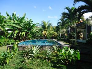 Vườn quanh Villa Belindo