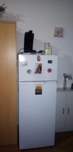 een witte koelkast met vriesvak in een keuken bij À Perte De Vue 50 m de la mer climatisé linge de maison inclus in Empuriabrava