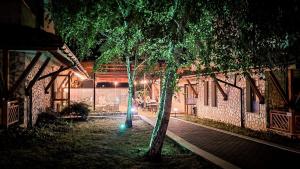 un edificio con un árbol y una calle por la noche en Studio Comfort Blue, en Primorsko