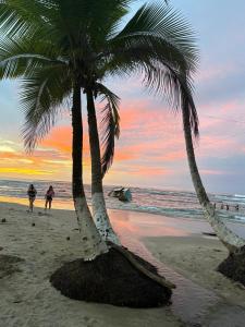 Природа в окрестностях варианта проживания в семье