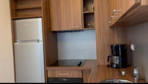 a small kitchen with a refrigerator and a sink at Très bel appartement dans le centre d'Isola 2000 in Isola 2000
