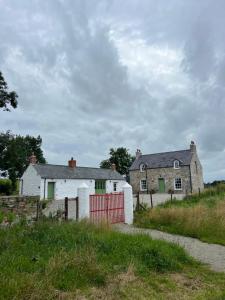 two houses in a field with a red fence at Jackdaw Cottage in Ballyward +45 photos