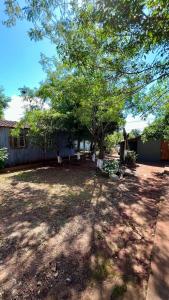 a yard with a tree and a house at Casa Rústica in Encarnación