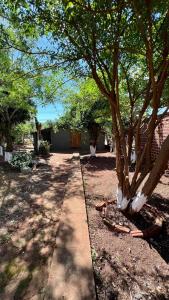 a sidewalk next to a tree in a yard at Casa Rústica in Encarnación +8 photos