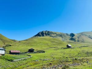 a group of buildings on a green hill with mountains at Chirukhi David Cottage in Shuakhevi