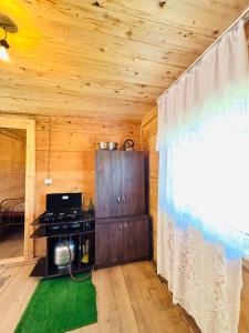 a kitchen with a stove in a wooden cabin at Chirukhi David Cottage in Shuakhevi