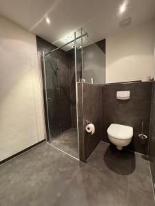 a bathroom with a toilet and a glass shower at Gasthof Hochstein in Meschede