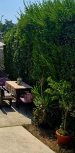 a picnic table and bench in front of a bush at Holiday home “Olive” in Župa