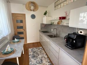 ライエツケ・テプリツェにあるZeus apartmánのシンクとカウンタートップのあるキッチン