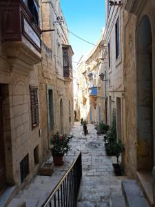 an alley with buildings and potted plants on it at Historical Apartment in Bormla in Cospicua +21 photos