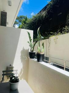 three plants sitting on a ledge on a balcony at Loft2600 in Baguio