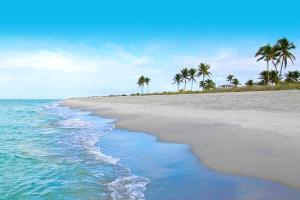 a beach with palm trees and the ocean at Beach Bound - 2025 Luxury Build - Walk to Beach & Town in Fort Myers Beach