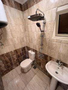 a bathroom with a toilet and a sink at Zamalek 3BR sunny apt in Cairo +17 photos