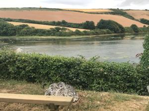 a bench sitting next to a river with a rock at Gannel View Apartment in Newquay