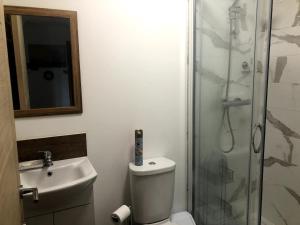 a bathroom with a shower and a toilet and a sink at Gannel View Apartment in Newquay +5 photos