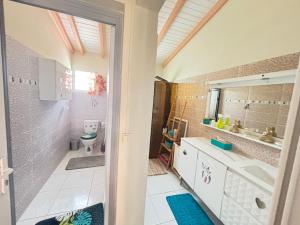 a bathroom with a sink and a toilet at Secrète Paradise in Capesterre-Belle-Eau +20 photos